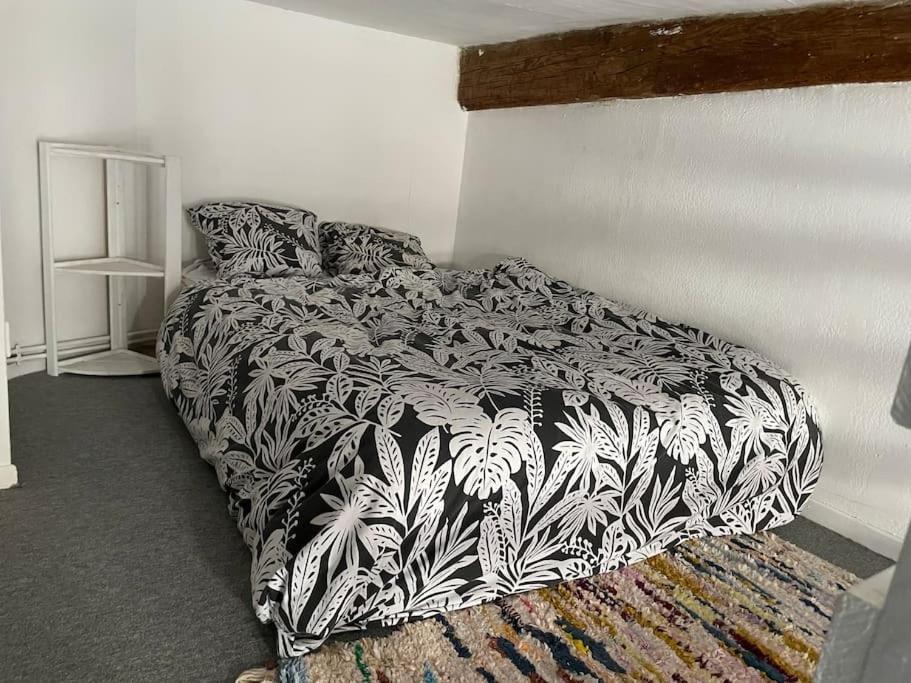 Appartement De Caractere Au Coeur Du Centre-Ville Montpellier Exterior foto